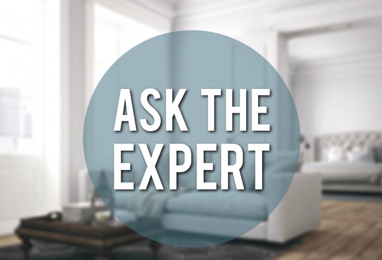 Home Inspection Mold Warranty