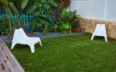 4 Unusual Backyard Ideas That Could Save You Money