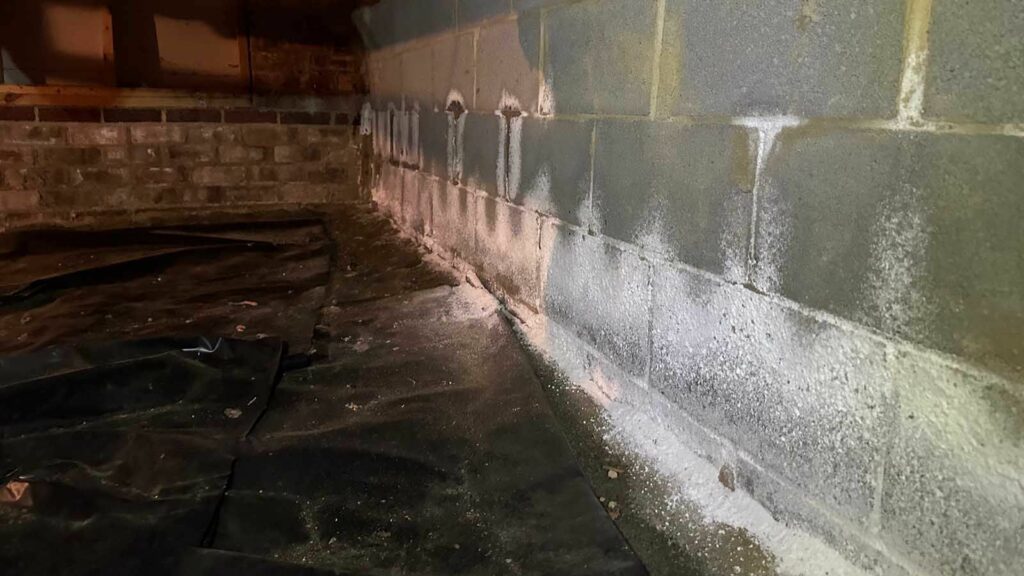 Efflorescence in crawl space walls
