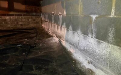 Efflorescence: Causes, Impact, and Prevention | Tennessee Inspection Services