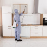 Certified Residential and Commercial Inspections