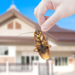 Certified Residential and Commercial Inspections
