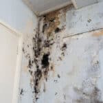 Certified Residential and Commercial Inspections