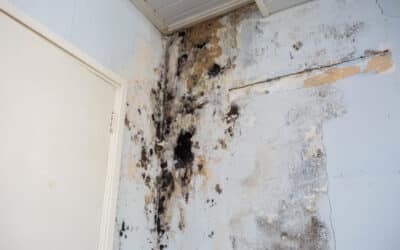 What Homeowners Overlook When Preventing Water Damage