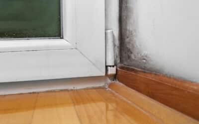 Areas That Are Most Affected by Moisture in Your Home