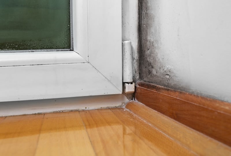 Areas That Are Most Affected by Moisture in Your Home